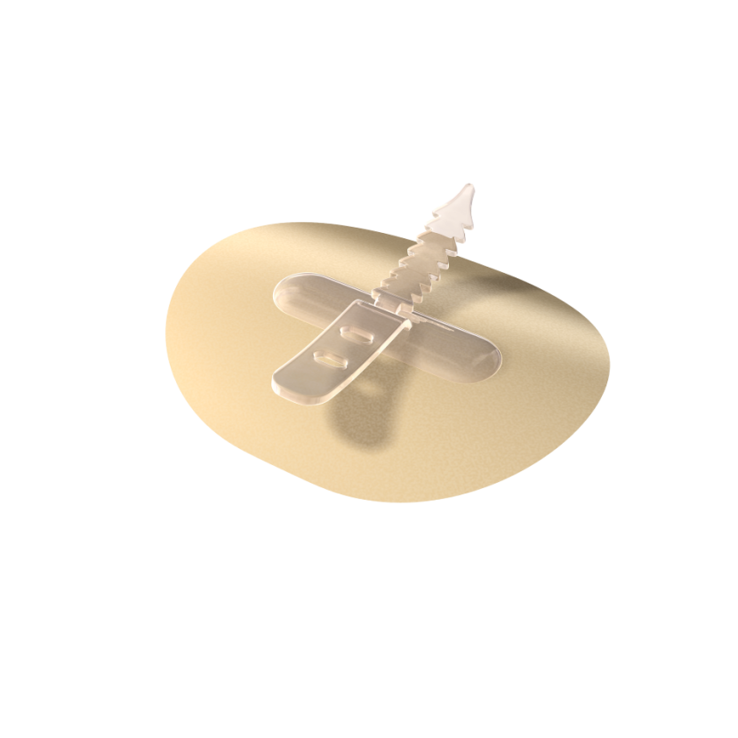BX/30 CATHGRIP SINGLE STRAP, LARGE, NO ALCOHOL WIPE, STERILE - BILINGUAL