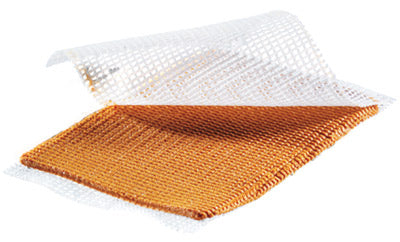 BX/5 IODOSORB PASTE, SIZE 5G (4CM X 6CM)