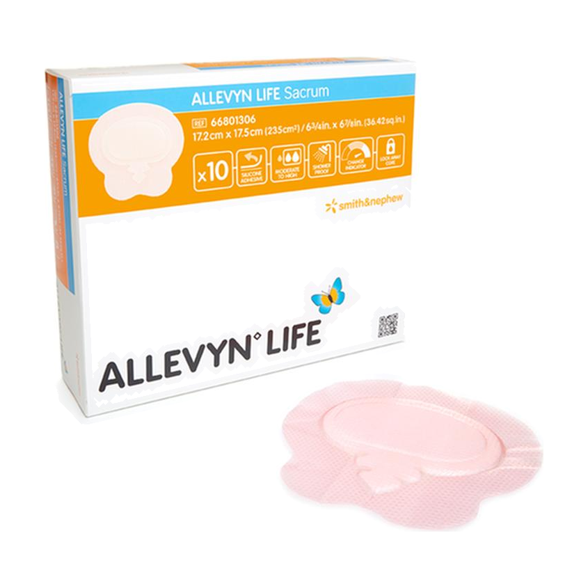 BX/10 ALLEVYN LIFE SACRM SMALL