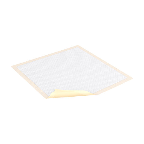 CS/10PKG (10/PKG) TENA EXTRA ABSORBENCY UNDERPADS, 36IN X 36IN Heavy Item
