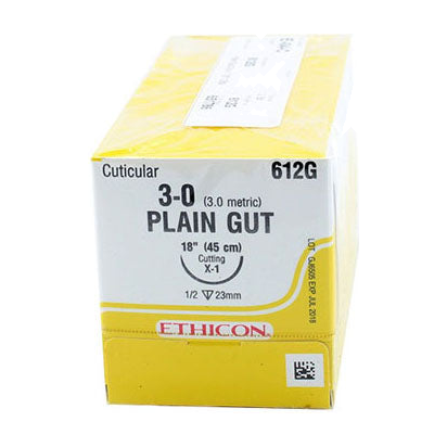 BX/12 ABSORBABLE SUTURE,GUT PLAIN 6-0 YELLOWISH TAN