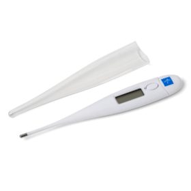 EA/1 DIGITAL ORAL THERMOMETER, 30 SECOND