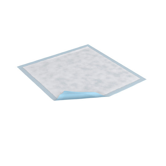 CS/6PKG (25/PKG) TENA REGULAR ABORBENCY UNDERPADS, 23IN X 36IN Heavy Item More info...