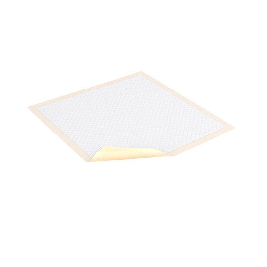 CS/10PKG (10/PKG) TENA EXTRA ABSORBENCY UNDERPADS, 36IN X 36IN Heavy Item More info...